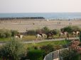  promenade à cheval